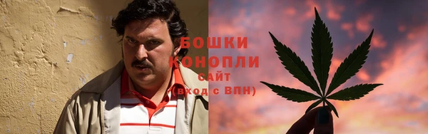 мдпв Навашино
