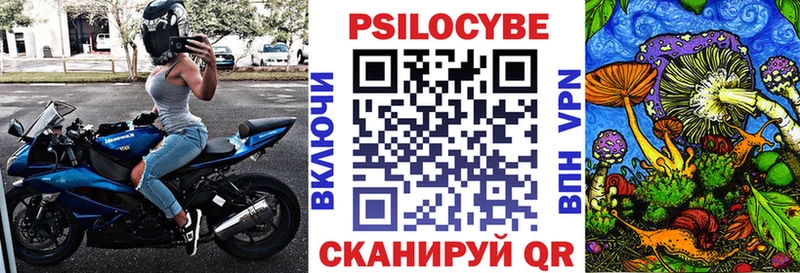 где продают наркотики  Кохма  Псилоцибиновые грибы Psilocybe 