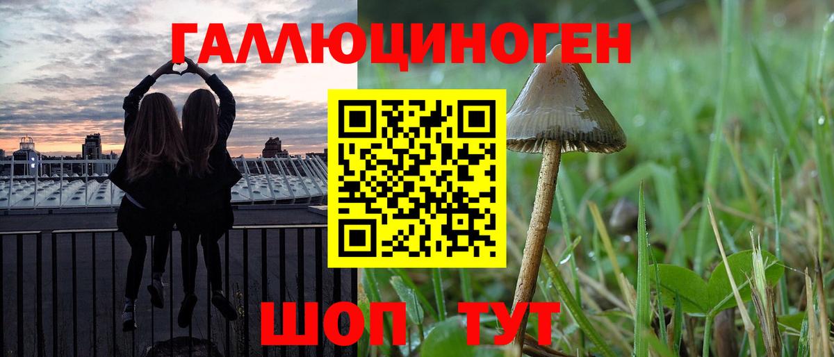 Кохма  Галлюциногенные грибы прущие грибы  Вход с VPN 